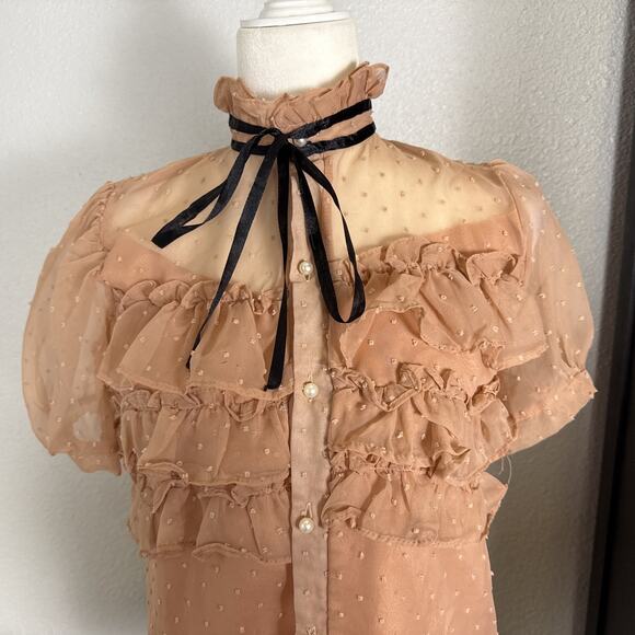 Blush Sheer Swiss Dot Ruffle Chiffon Blouse Puff Sleeve Mock Neck Victorian Sm - Picture 2 of 7